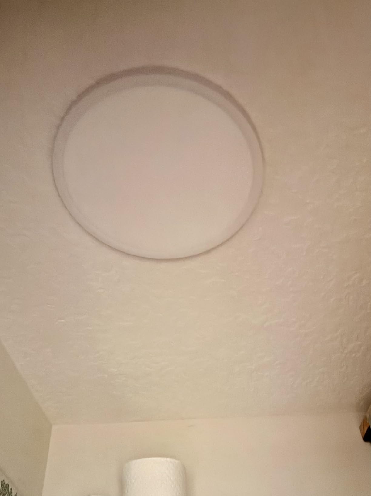 Ceiling light
