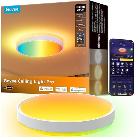 Colorful Ceiling light
